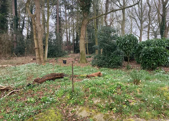 Woodland Retreat, Market Lane, Blundeston, Lowestoft