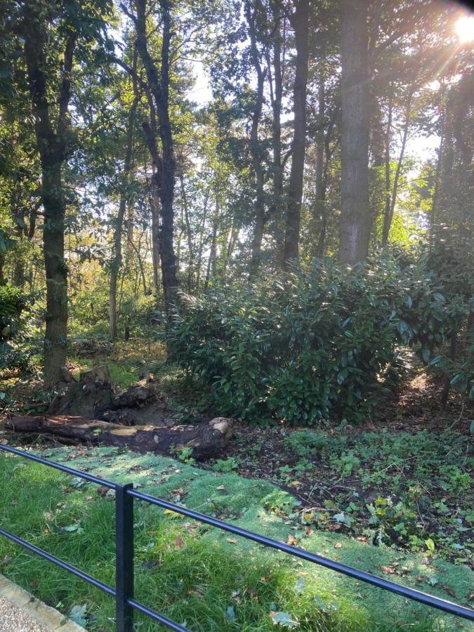 Woodland Retreat, Market Lane, Blundeston, Lowestoft Holiday home *