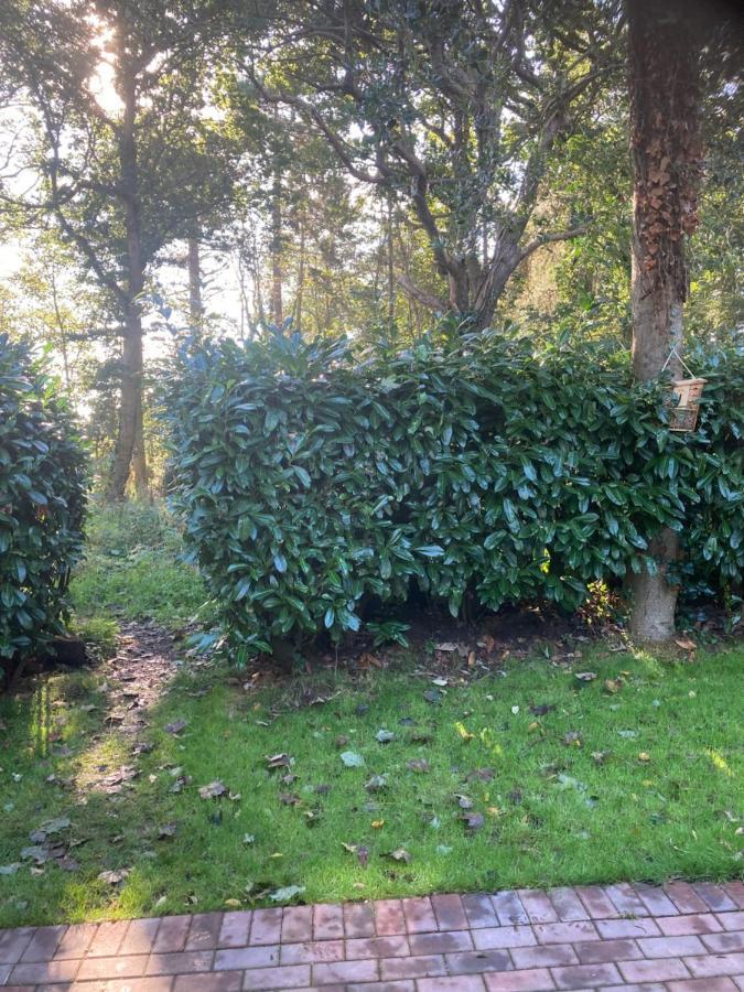 Woodland Retreat, Market Lane, Blundeston, Lowestoft Holiday home Blundeston
