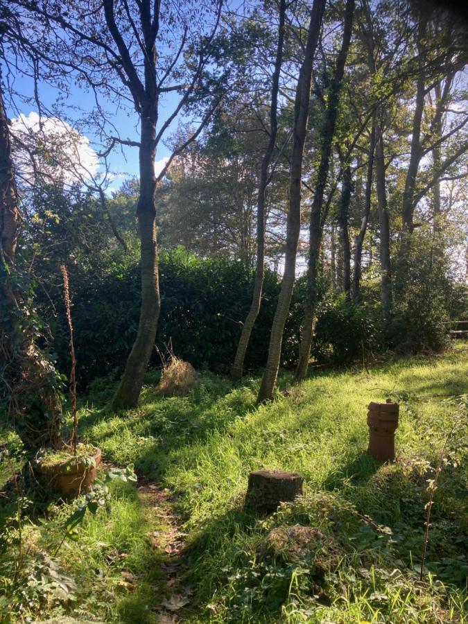 Holiday home Woodland Retreat, Market Lane, Blundeston, Lowestoft