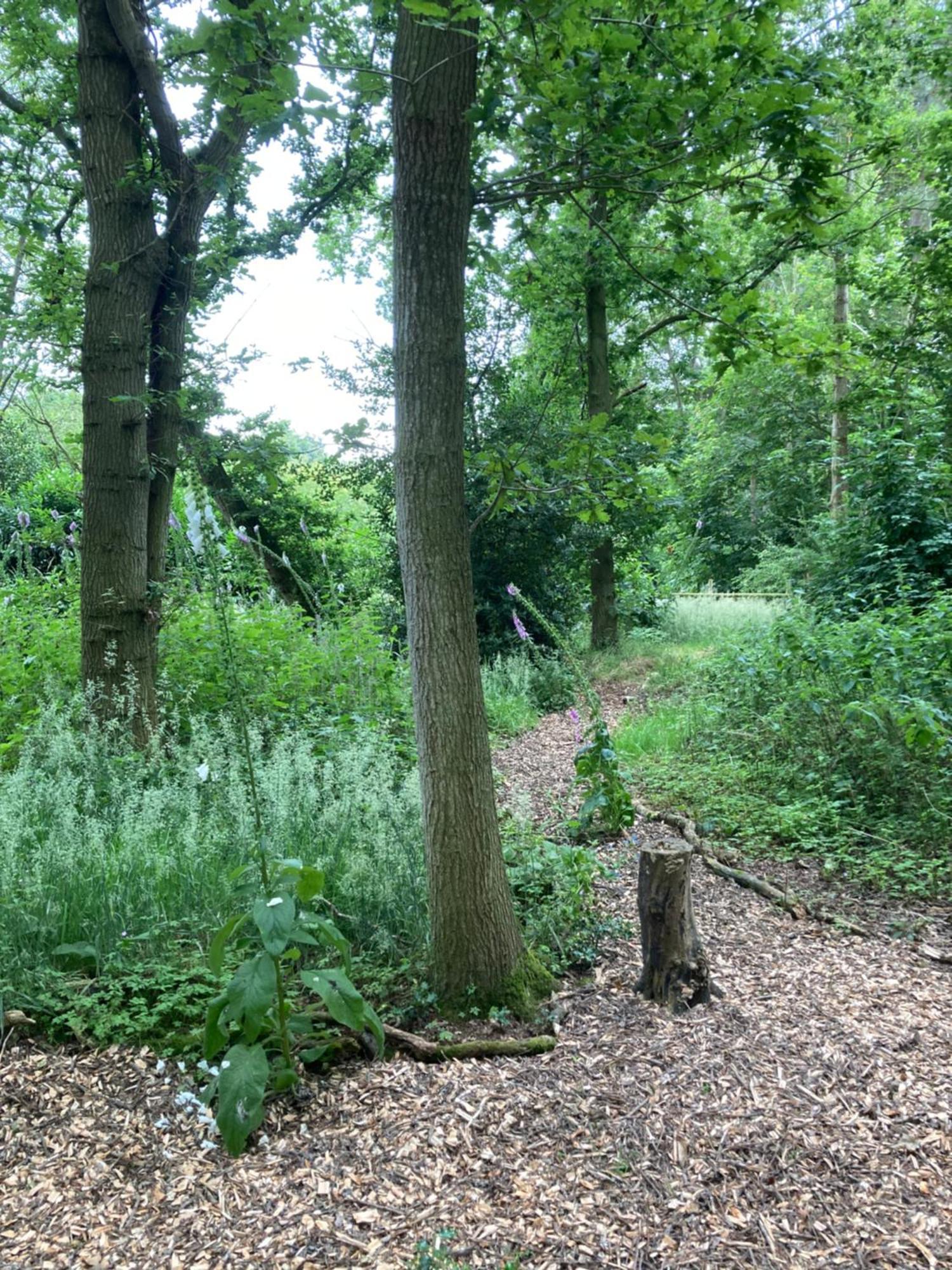 Woodland Retreat, Market Lane, Blundeston, Lowestoft Holiday home