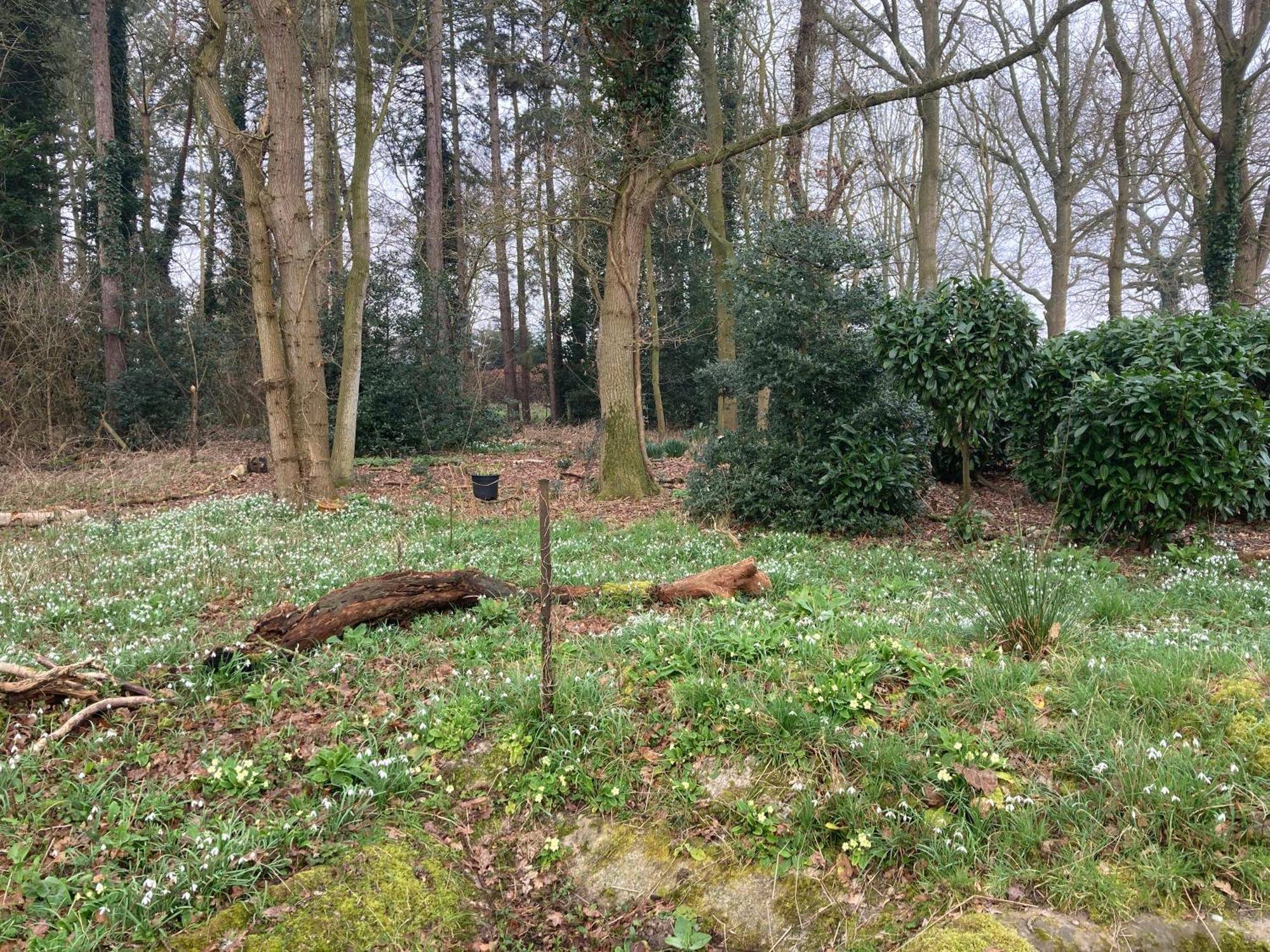 Holiday home Woodland Retreat, Market Lane, Blundeston, Lowestoft